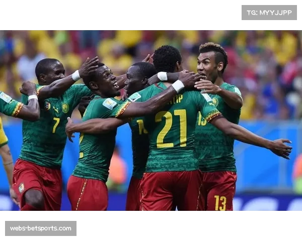 喀麦隆队新老交替问题 制约球队未来发展